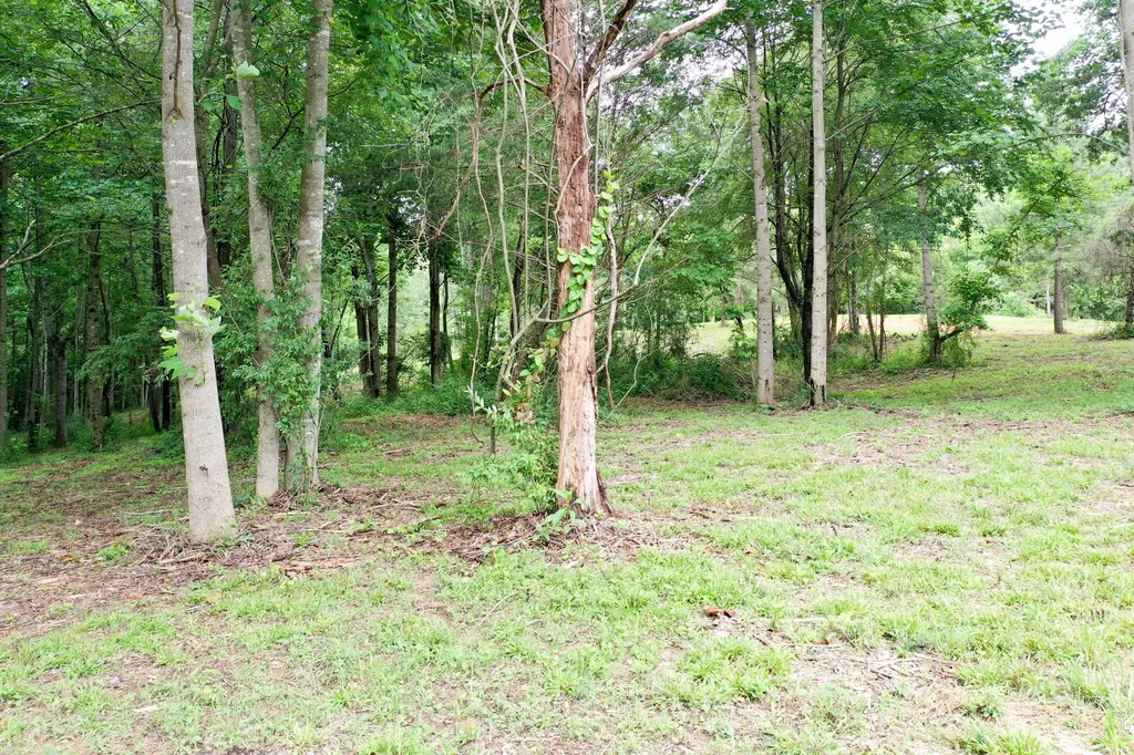 0 Lovers Lane Tompkinsville KY 42167