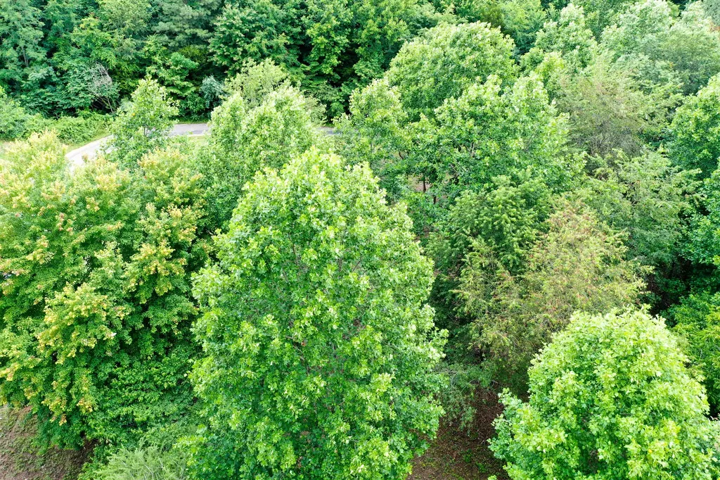 0 Lovers Lane Tompkinsville KY 42167