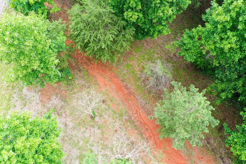 0 Lovers Lane Tompkinsville KY 42167