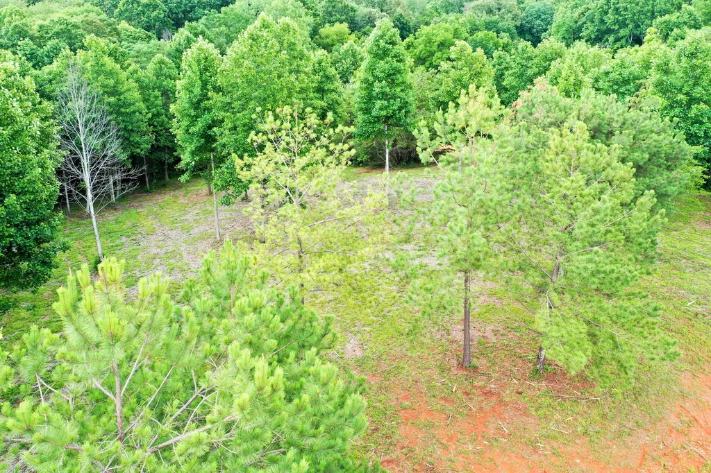 0 Lovers Lane Tompkinsville KY 42167