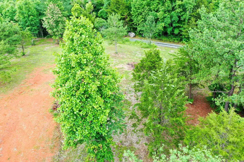 0 Lovers Lane Tompkinsville KY 42167