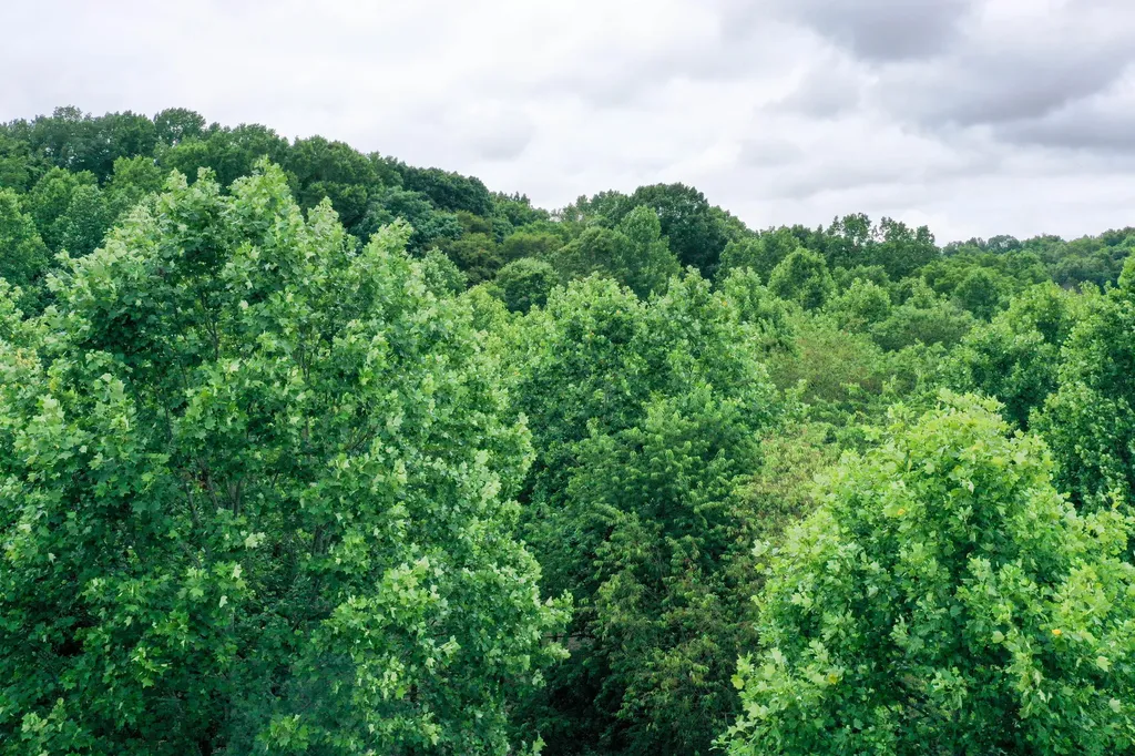 0 Lovers Lane Tompkinsville KY 42167