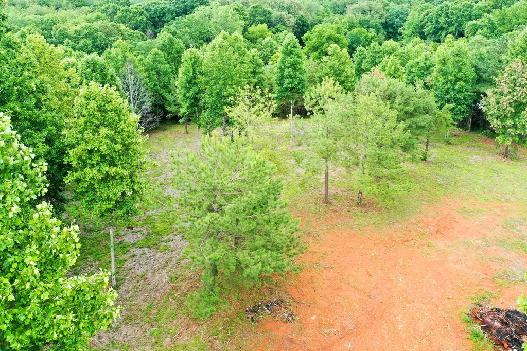 0 Lovers Lane Tompkinsville KY 42167