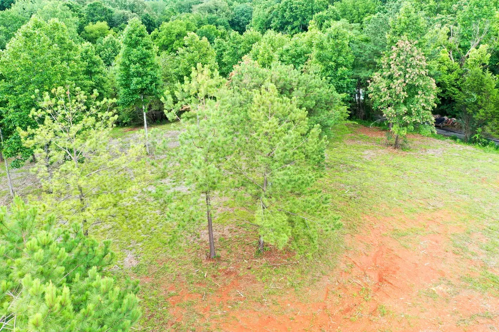 0 Lovers Lane Tompkinsville KY 42167
