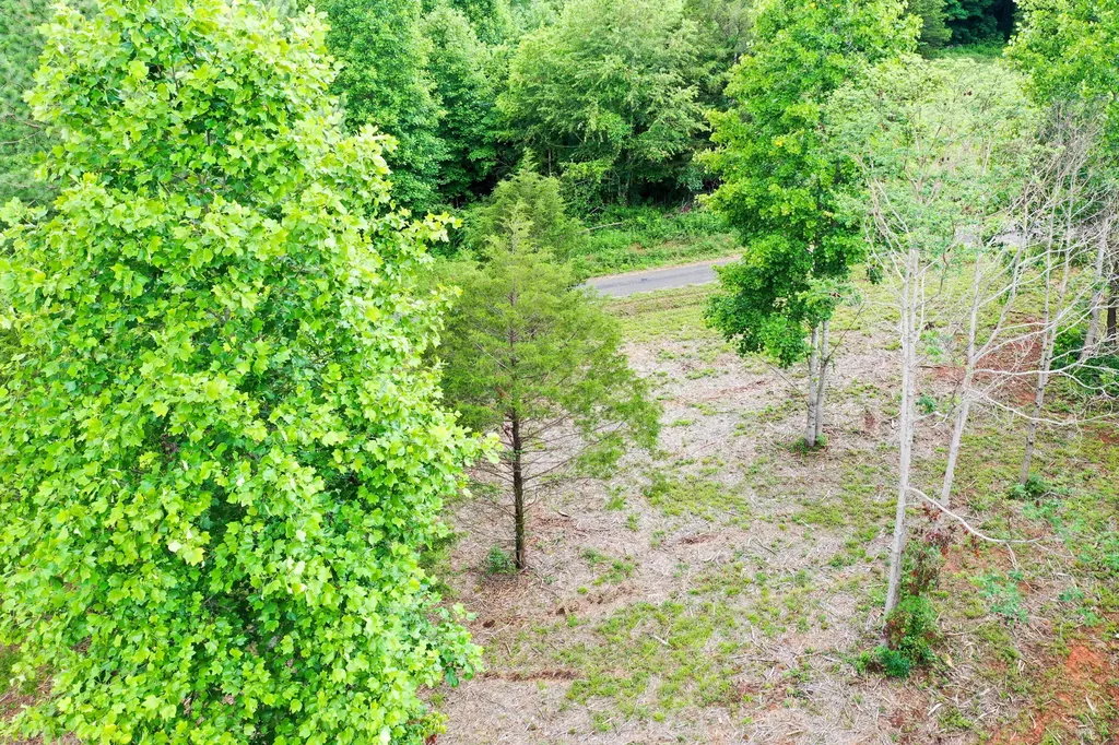 0 Lovers Lane Tompkinsville KY 42167