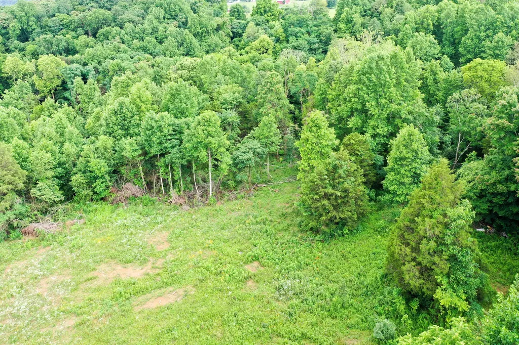 0 Lovers Lane Tompkinsville KY 42167