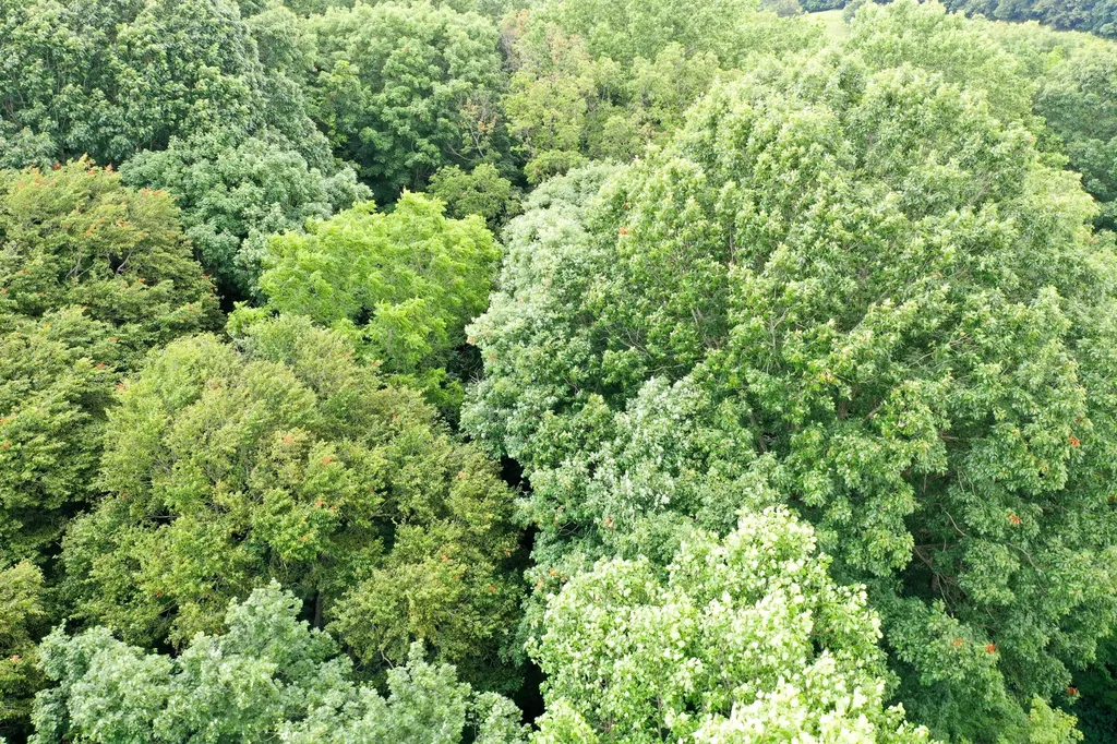 0 Lovers Lane Tompkinsville KY 42167