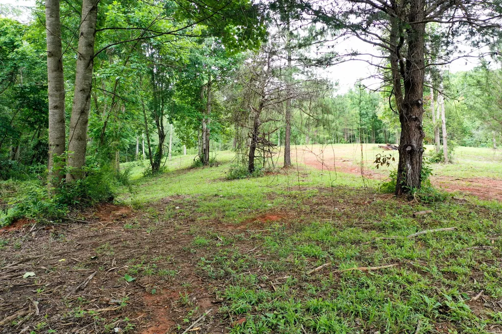 0 Lovers Lane Tompkinsville KY 42167