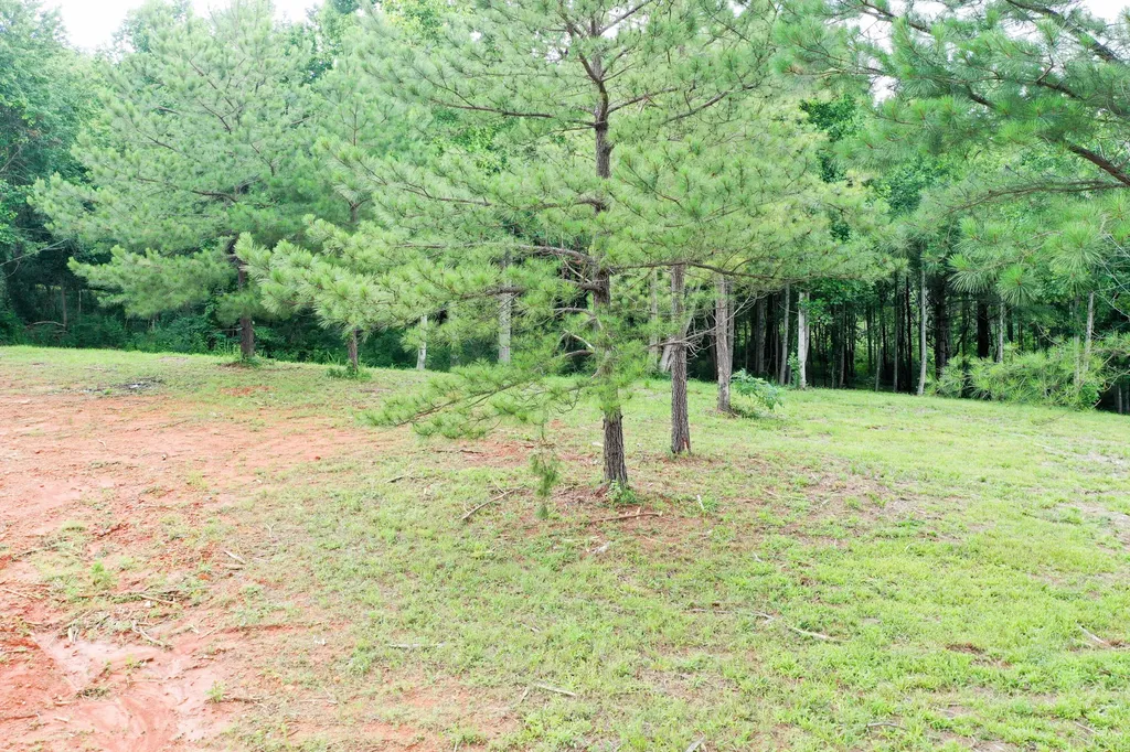 0 Lovers Lane Tompkinsville KY 42167