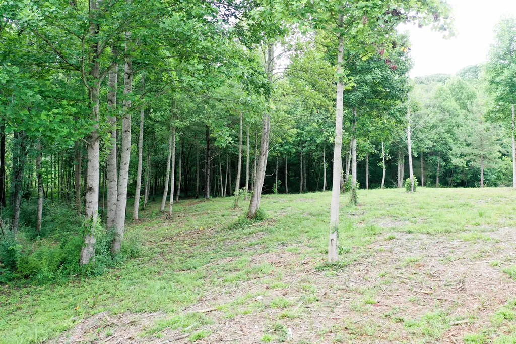 0 Lovers Lane Tompkinsville KY 42167