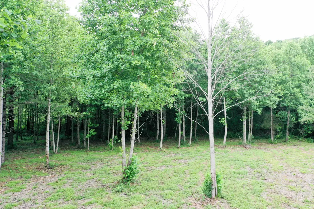 0 Lovers Lane Tompkinsville KY 42167