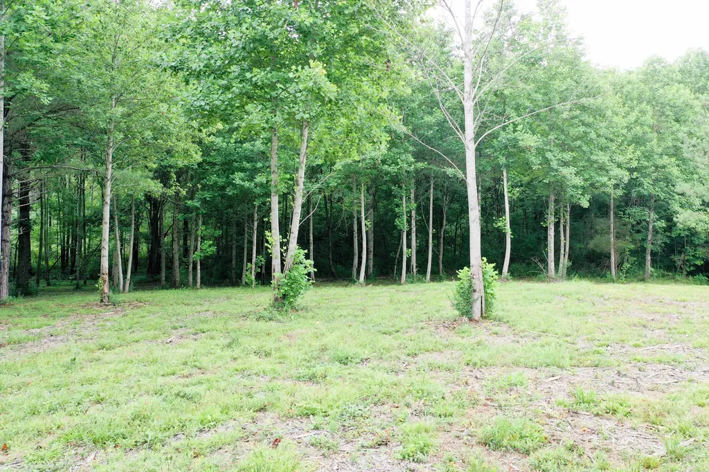 0 Lovers Lane Tompkinsville KY 42167