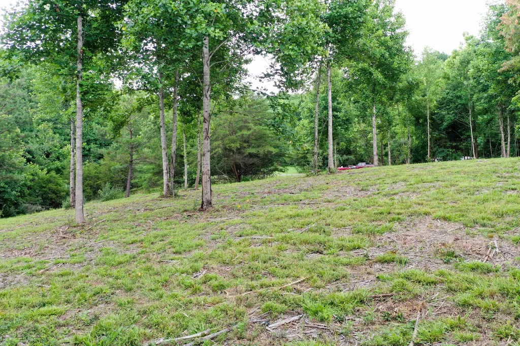 0 Lovers Lane Tompkinsville KY 42167