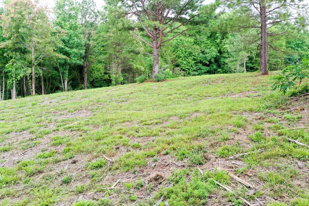 0 Lovers Lane Tompkinsville KY 42167