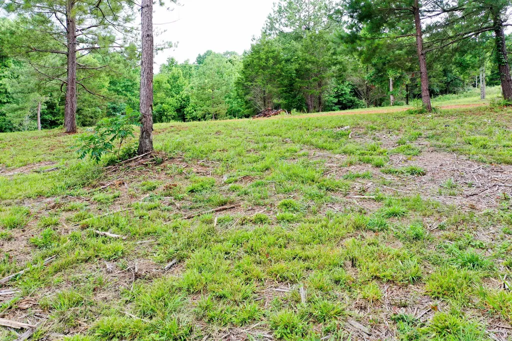 0 Lovers Lane Tompkinsville KY 42167