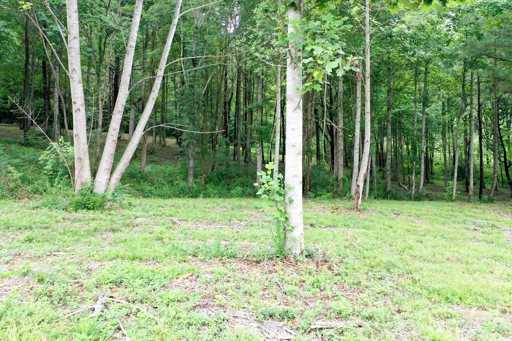 0 Lovers Lane Tompkinsville KY 42167