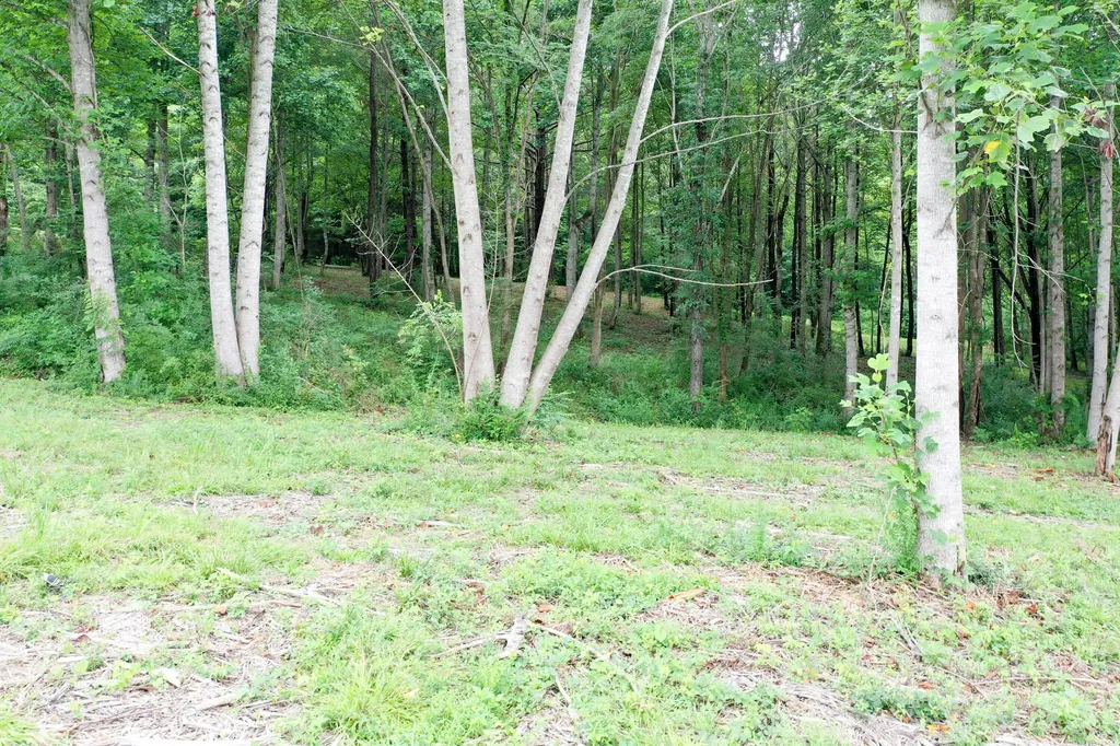 0 Lovers Lane Tompkinsville KY 42167