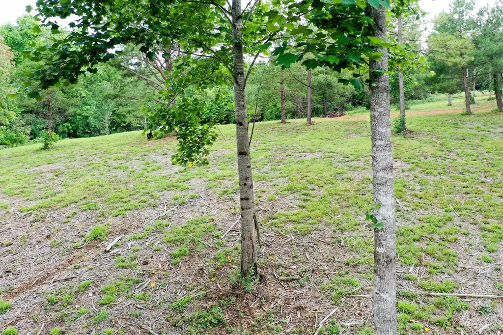0 Lovers Lane Tompkinsville KY 42167
