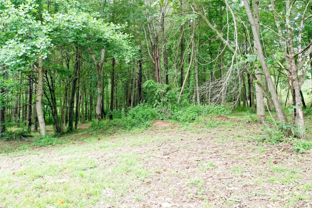 0 Lovers Lane Tompkinsville KY 42167