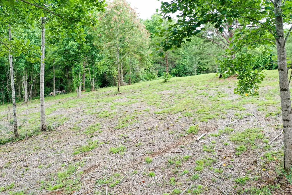0 Lovers Lane Tompkinsville KY 42167