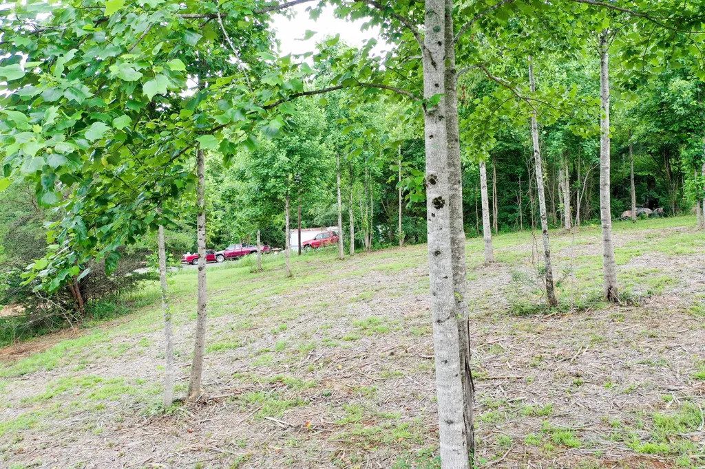 0 Lovers Lane Tompkinsville KY 42167