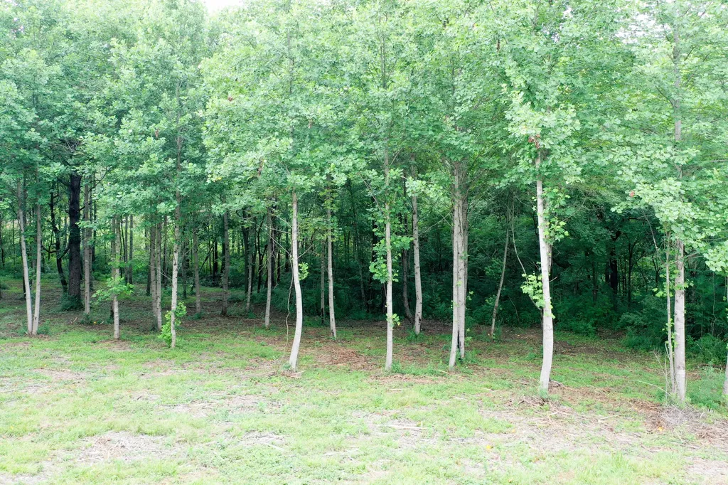 0 Lovers Lane Tompkinsville KY 42167