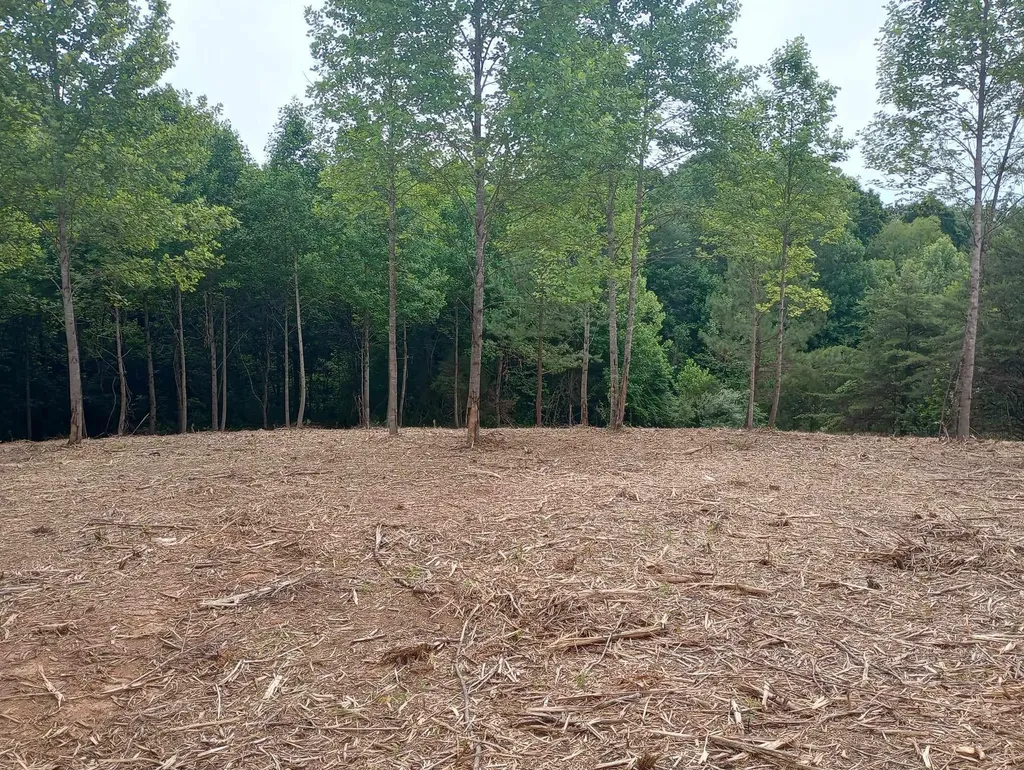 0 Lovers Lane Tompkinsville KY 42167