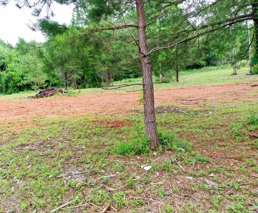 0 Lovers Lane Tompkinsville KY 42167