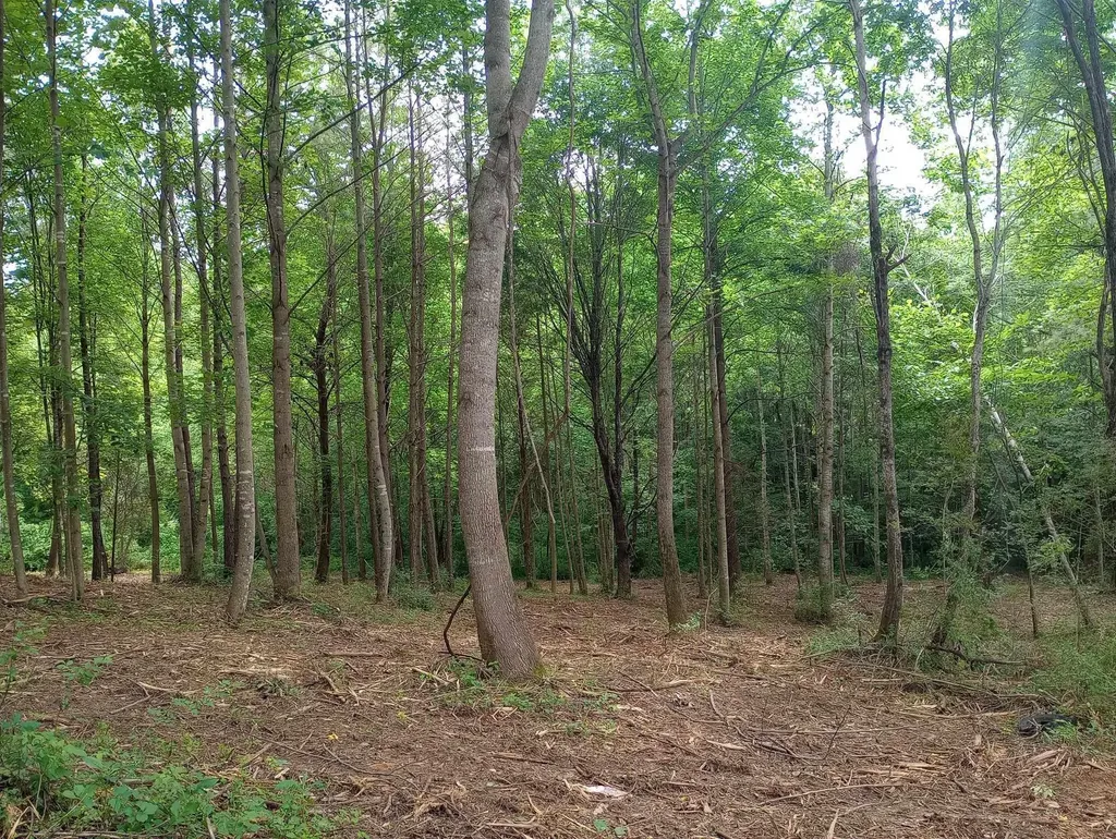 0 Lovers Lane Tompkinsville KY 42167