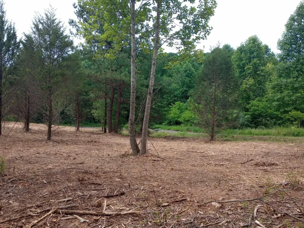 0 Lovers Lane Tompkinsville KY 42167