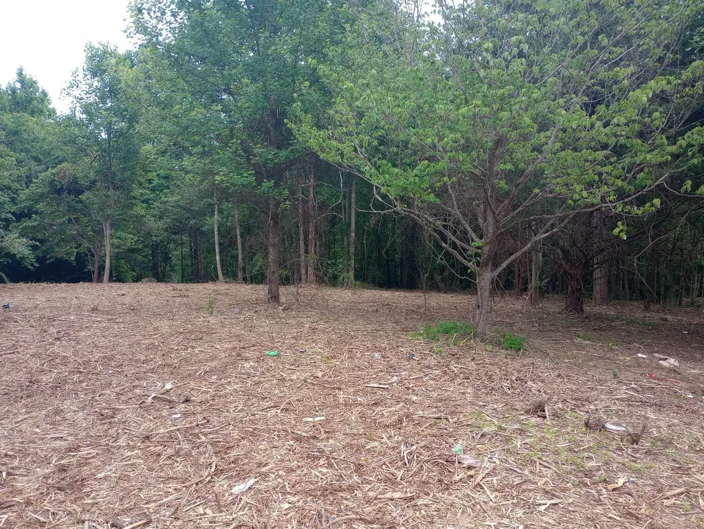 0 Lovers Lane Tompkinsville KY 42167