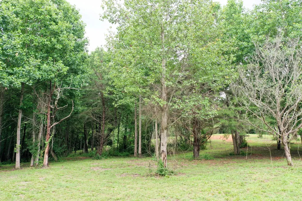 0 Lovers Lane Tompkinsville KY 42167