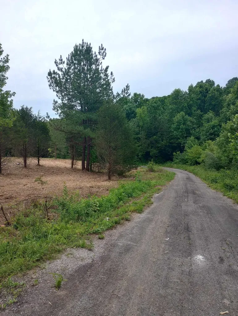 0 Lovers Lane Tompkinsville KY 42167