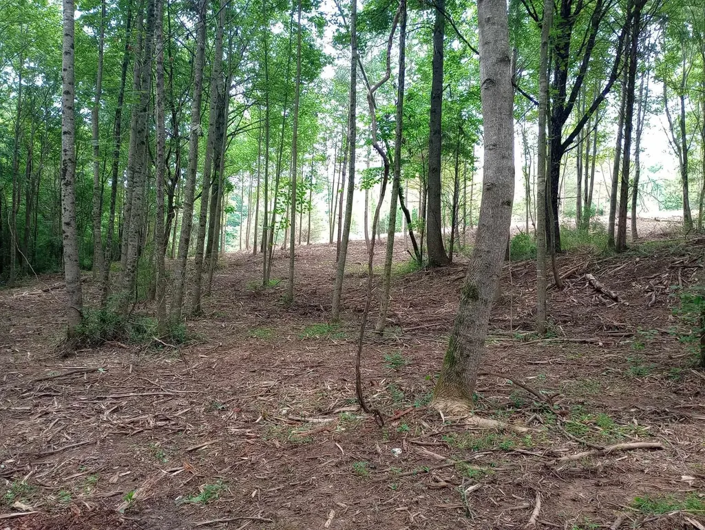 0 Lovers Lane Tompkinsville KY 42167