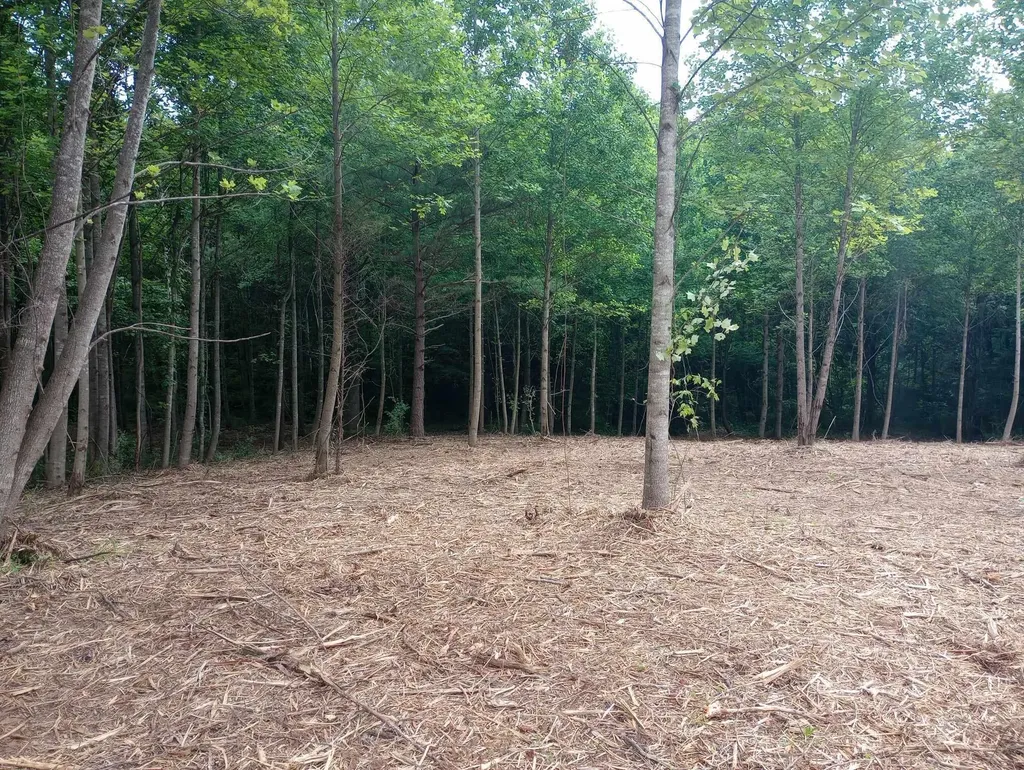 0 Lovers Lane Tompkinsville KY 42167