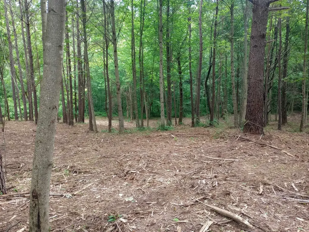 0 Lovers Lane Tompkinsville KY 42167