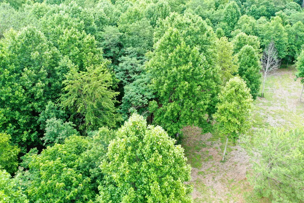 0 Lovers Lane Tompkinsville KY 42167