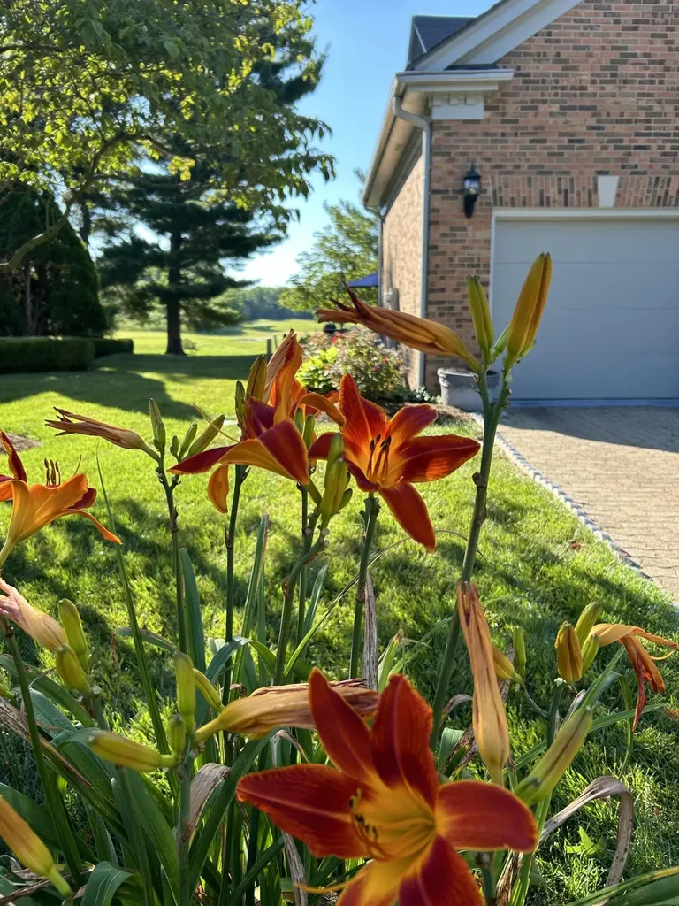 1437 Sugar Maple Court Lexington KY 40511