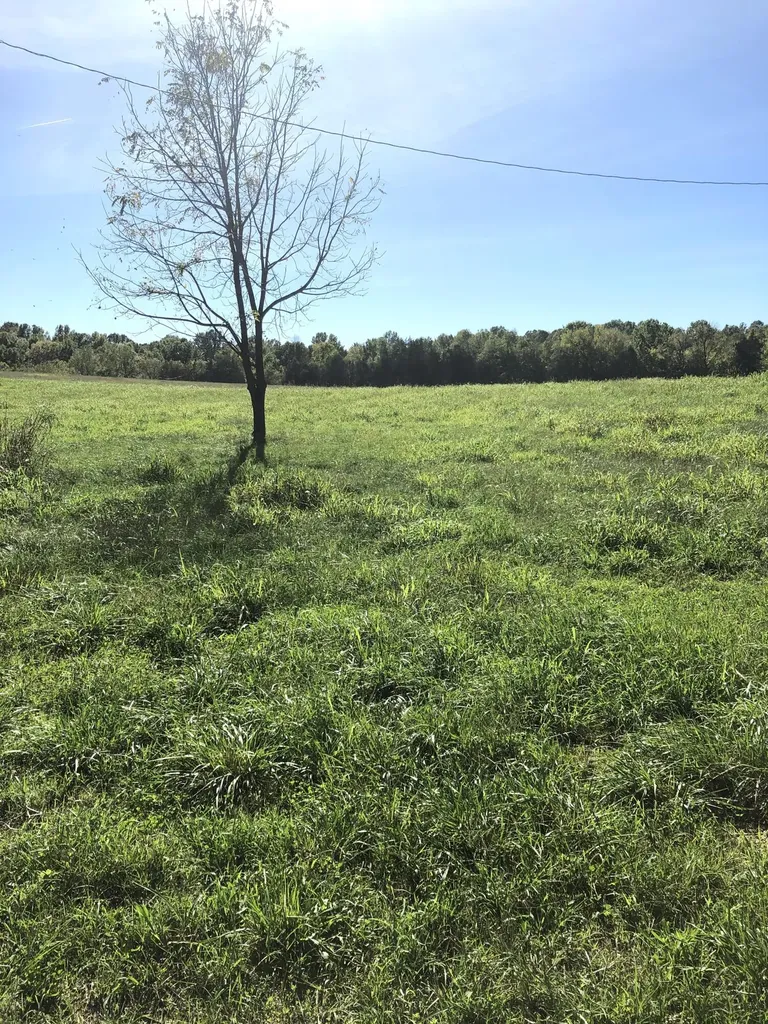 7 S Chowning Lane Bloomfield KY 40008