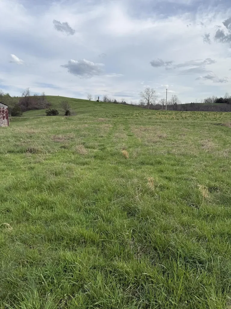 7 S Chowning Lane Bloomfield KY 40008
