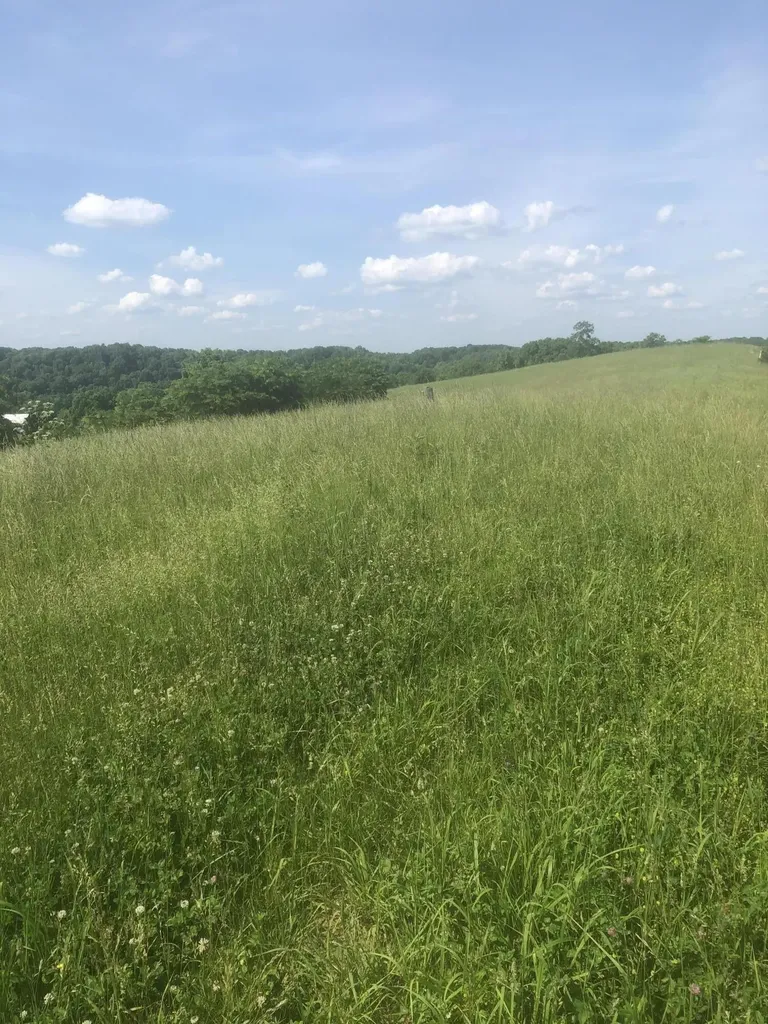 6 S Chowning Lane Bloomfield KY 40008