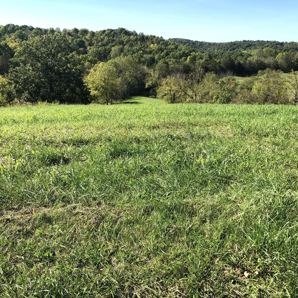 6 S Chowning Lane Bloomfield KY 40008
