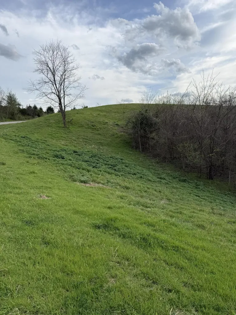 6 S Chowning Lane Bloomfield KY 40008