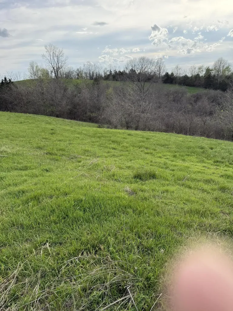 6 S Chowning Lane Bloomfield KY 40008