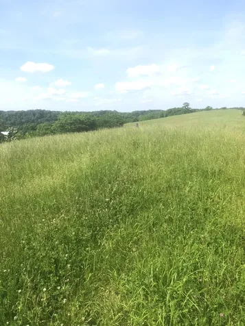 6 S Chowning Lane Bloomfield KY 40008