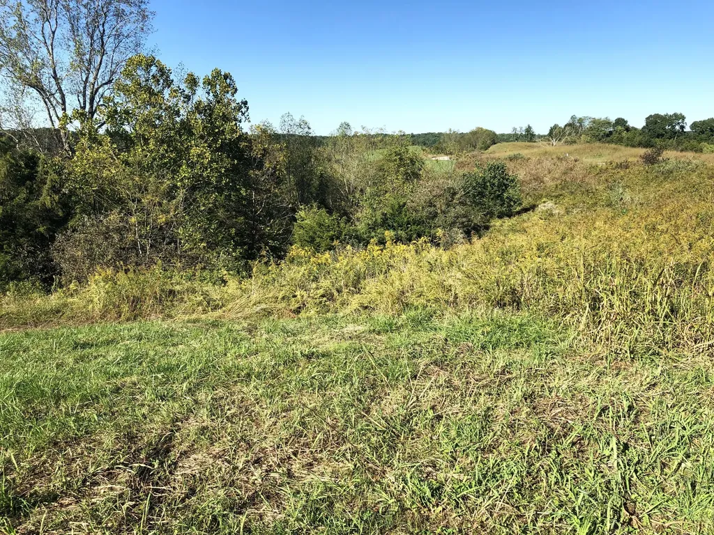 5 S Chowning Lane Bloomfield KY 40008