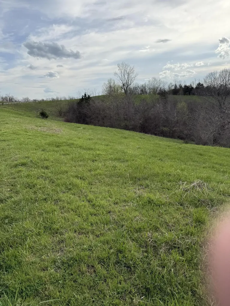5 S Chowning Lane Bloomfield KY 40008