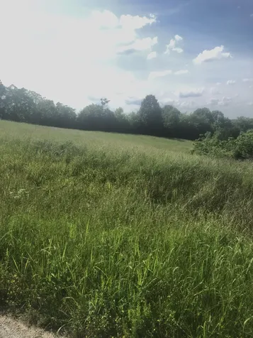 5 S Chowning Lane Bloomfield KY 40008