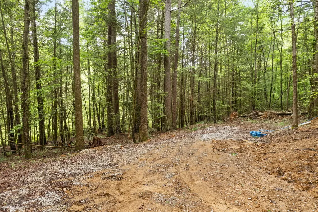 4 Firefly Lane Campton KY 41301