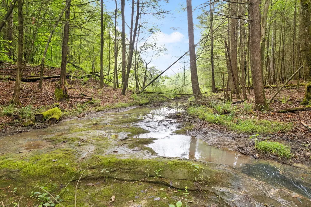 2 Firefly Lane Campton KY 41301